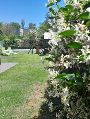 Casa Bello